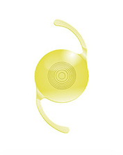 ジェメトリックの画像